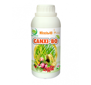 Canxi Bo