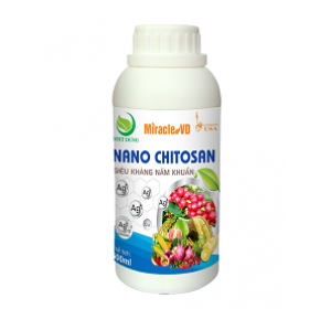 NANO CHITOSAN